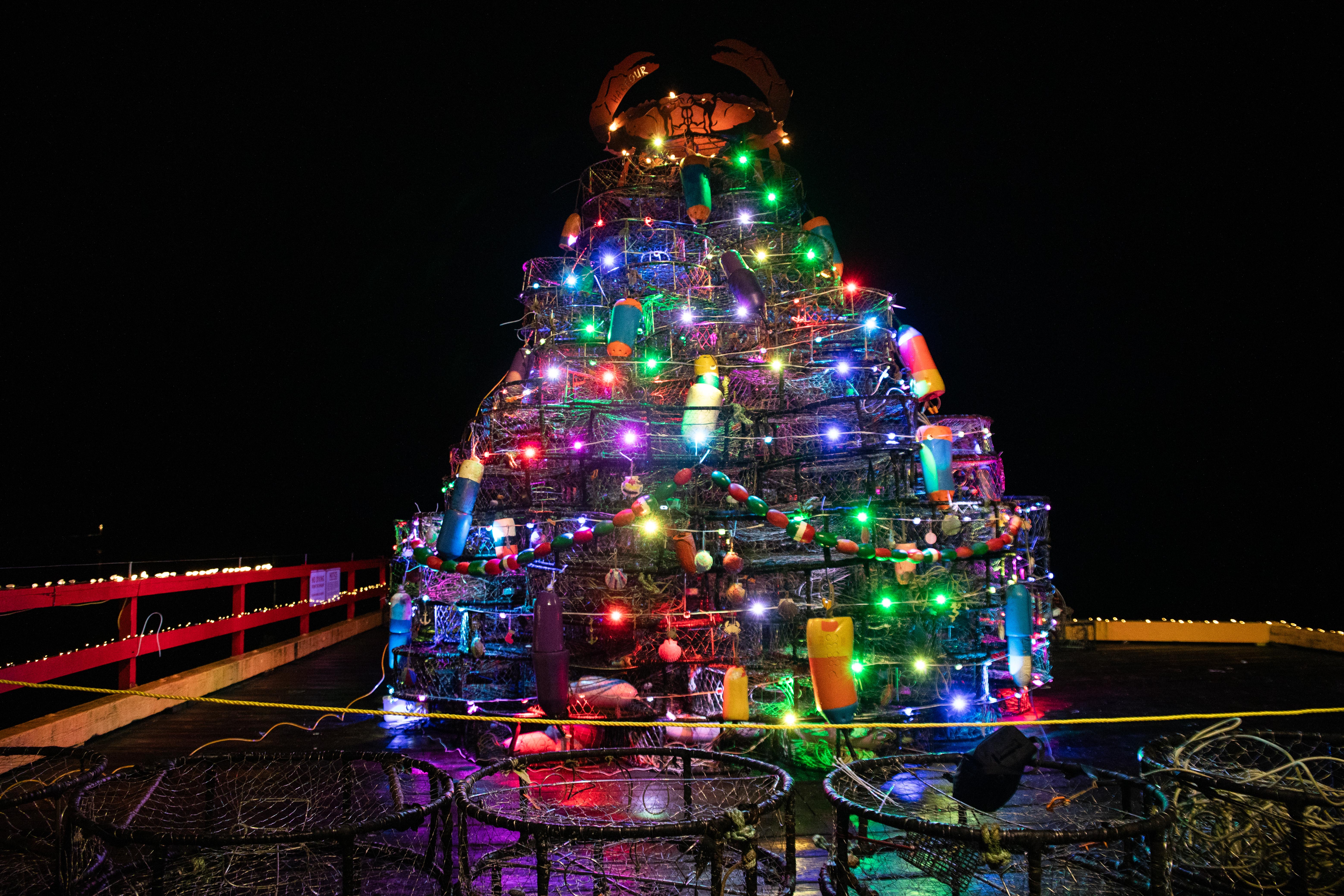 Sparkling 30-foot crab trap Christmas tree erected at Prince Rupert's  Winterfest | The Northern View, image size:6233x4155